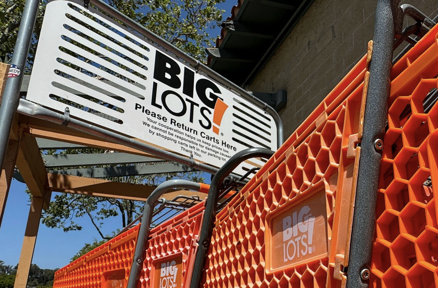 Big Lots shopping carts in the bay